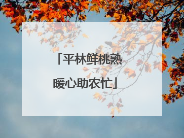 平林鲜桃熟 暖心助农忙